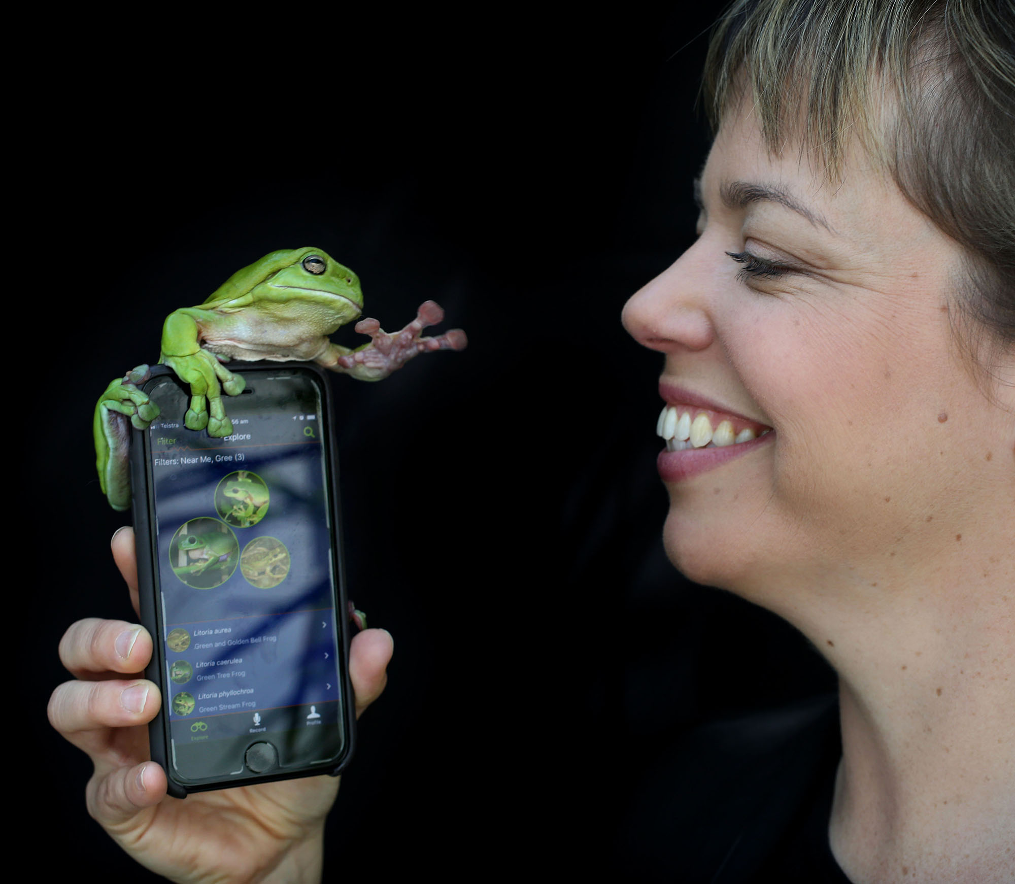 Development, Marketing & Communications